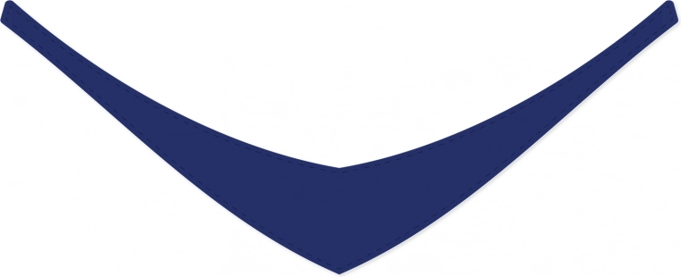 Stilski dodatak u tamnoplavoj