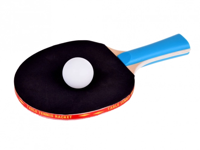 Drvene rekete za stolni tenis s lopticama
