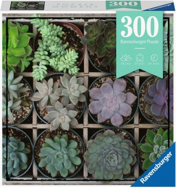 Ravensburger Puzzle Moments – biljni motivi 300 dijelova