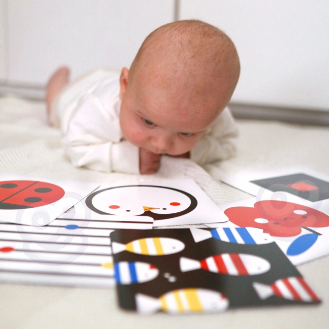Montessori XXL edukativna kutija 7u1 TOOKY TOY