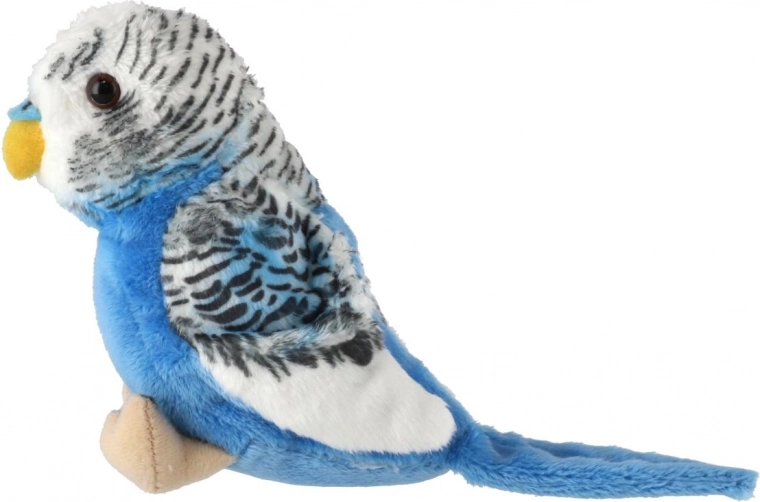 Realistični detalji perja i izgleda