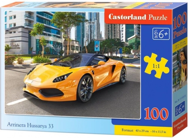 Slagalica 100 dijelova Arrinera Hussarya