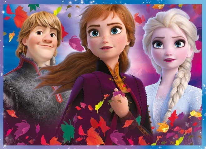 Puzzle 4u1 Ledeno kraljevstvo II/Frozen II u kutiji 28x28x6 cm