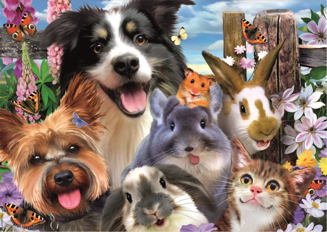 Educa Puzzle smiješni selfie 500 komada