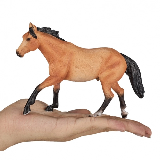 Mojo Koplje Konj