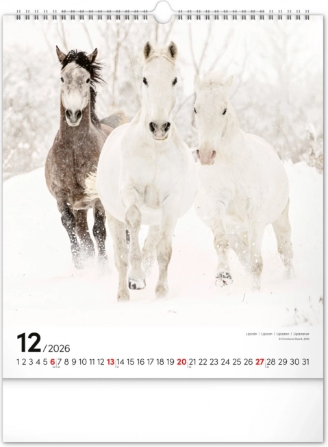 Zidni kalendar Konji 2026