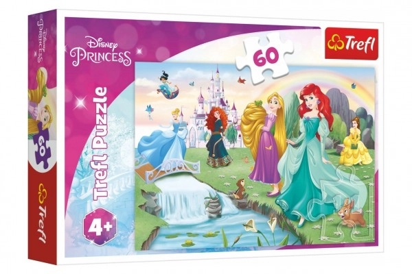 Puzzle Upoznajte princeze 33x22cm 60 dijelova u kutiji 21x14x4cm