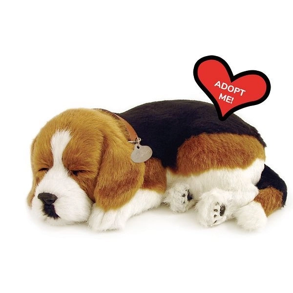 Dišuće štene Beagle Perfect Petzzz