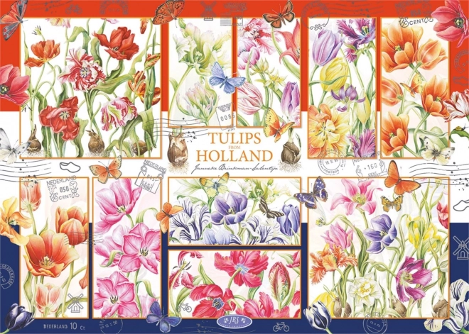 Puzzle Nizozemski tulipani 1000 komada