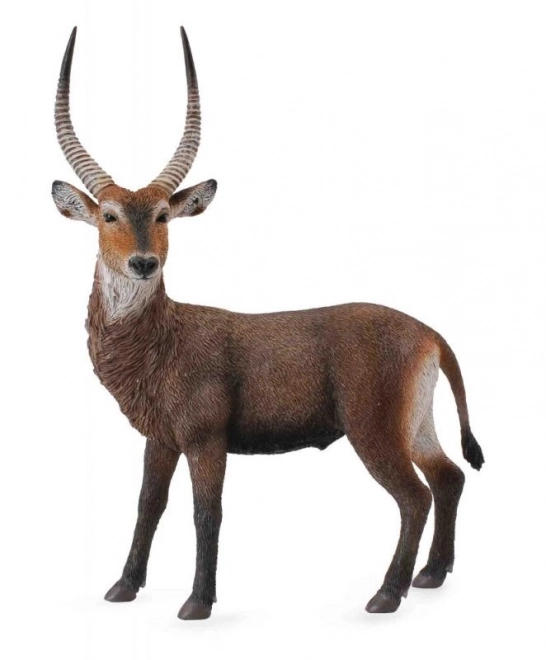 Vodna antilopa CollectA