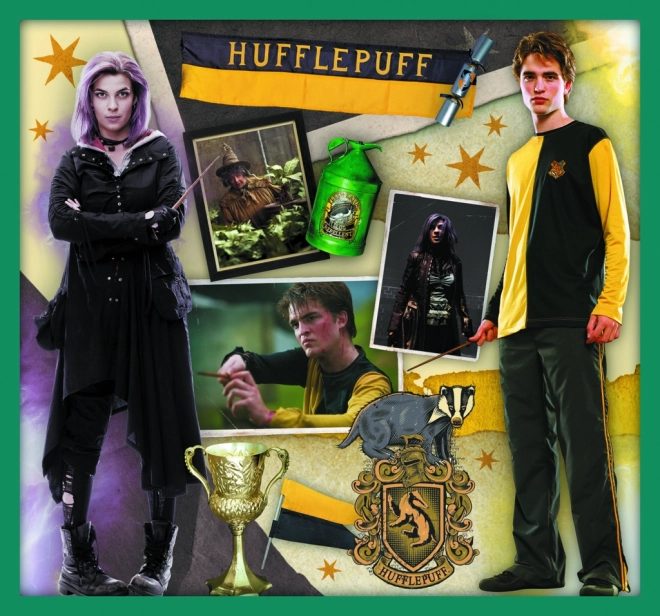 Puzzle Harry Potter - U svijetu Harryja Pottera 10u1