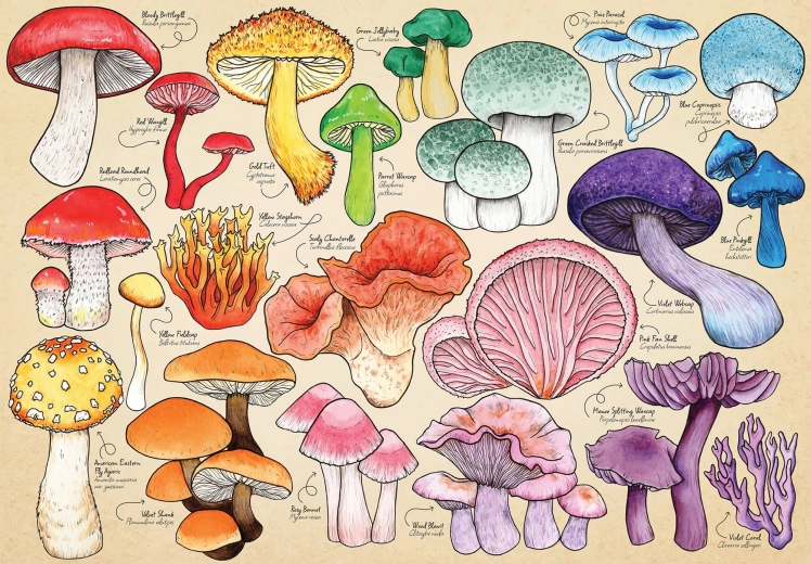 Puzzle Gljivarska manija 1000 dijelova