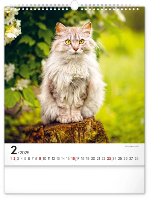 Zidni kalendar Mačke 2025, 30 × 34 cm