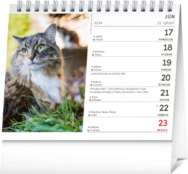Stolni kalendar Mačke – s imenima mačaka 2024, 16,5 × 13 cm