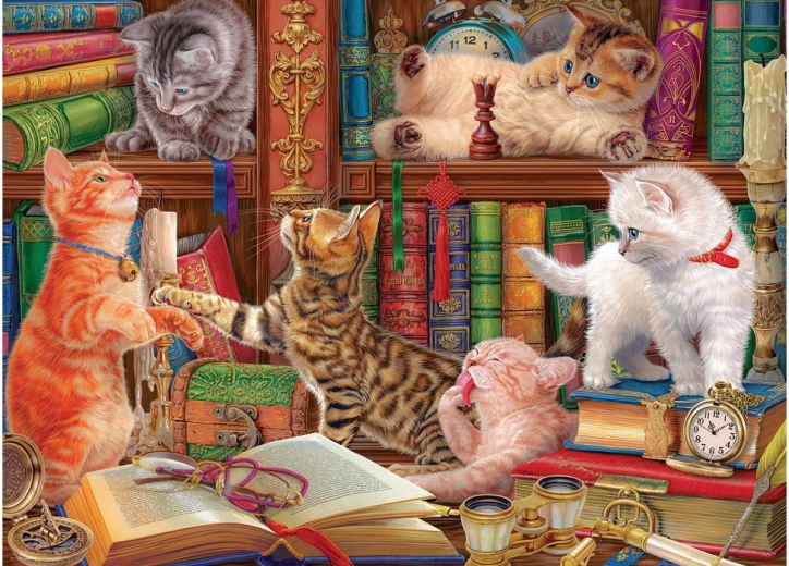 EUROGRAPHICS puzzle mačja knjižnica 1000 dijelova