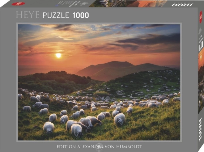 Puzzle 1000 dijelova Ovce i vulkani