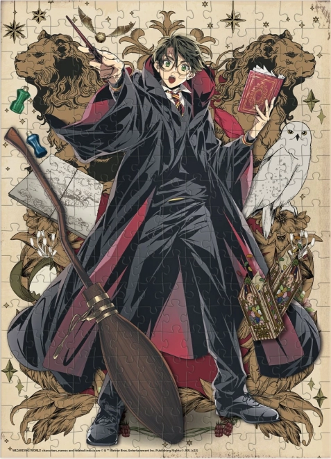 Puzzle DODO Harry Potter: Mladi čarobnjak 250 komada