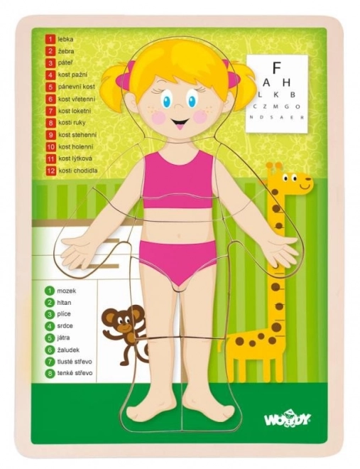 Woody drvene obostrane puzzle ljudsko tijelo - djevojčica