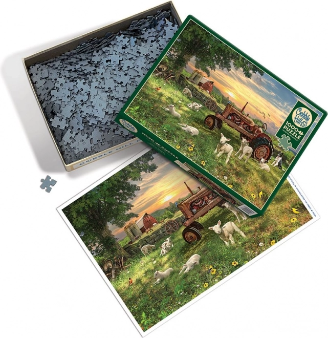Puzzle polje pri izlasku sunca od Cobble Hill 1000 dijelova