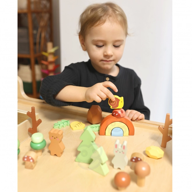 Šumski set s drvenim kockama Tooky Toy
