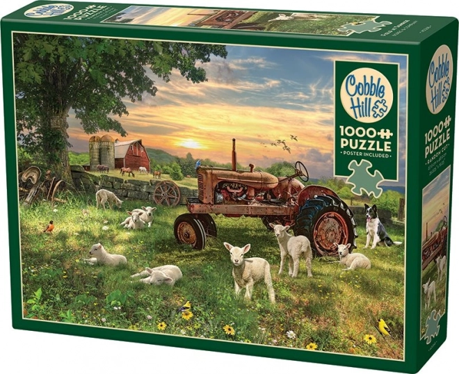 Puzzle polje pri izlasku sunca od Cobble Hill 1000 dijelova