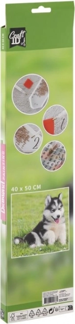 GRAFIX Dijamantno slikanje Husky 40x50cm