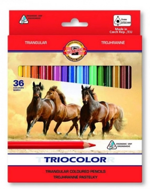 KOH-I-NOOR Trokutaste bojice Triocolor 3145 - 36 kom