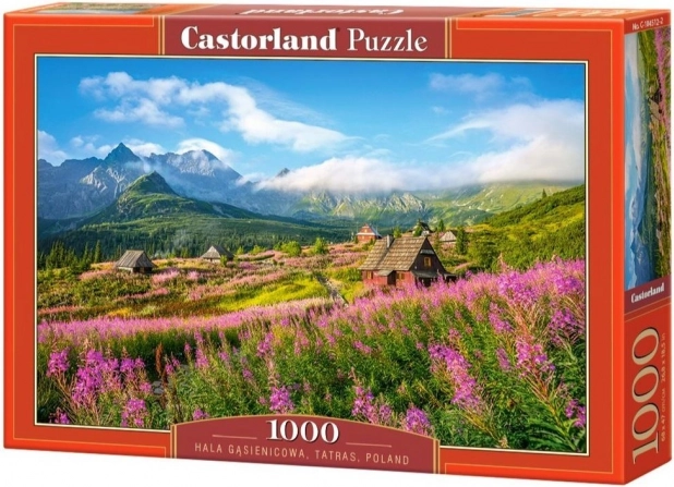 Puzzle 1000 dijelova Hala Gąsienicowa, Tatry, Poljska