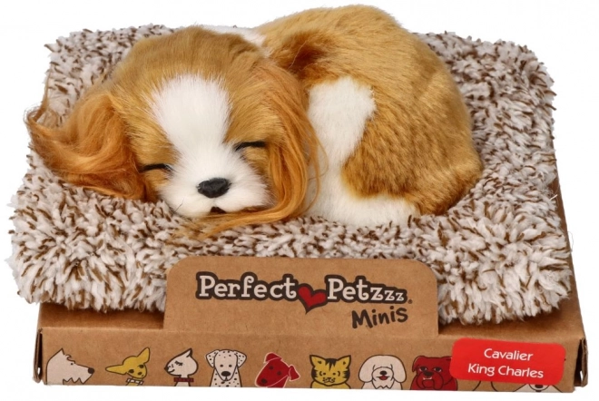 Spavajuće štene Cavalier King Charles Perfect Petzzz
