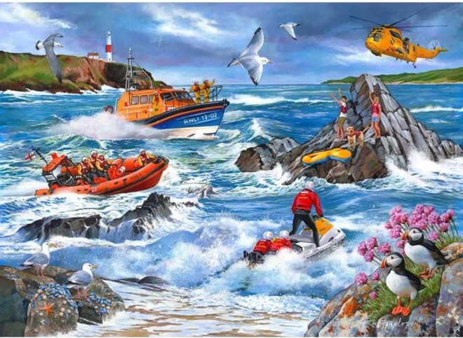 Puzzle Protiv plime 1000 dijelova od House of Puzzles