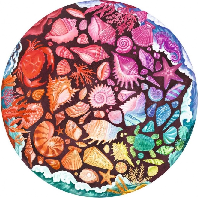 Puzzle paleta boja školjki 500 dijelova
