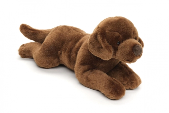 Pliš labrador 40 cm EKO-PRIJATELJSKI