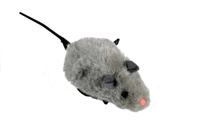 Vijak miš vozi pomiče repom