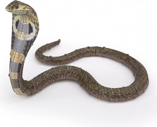 Fleksibilna, dojmljiva poza kobre