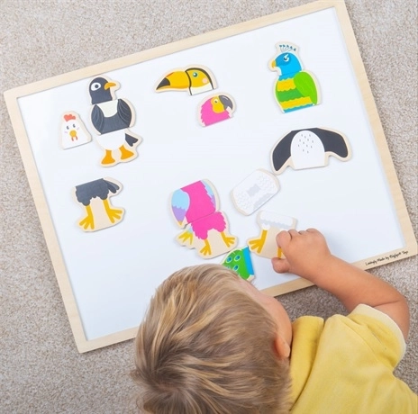 Drvene magnete Ptičji prijatelji BIGJIGS TOYS