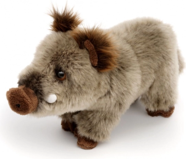 Realistični detalji vepra