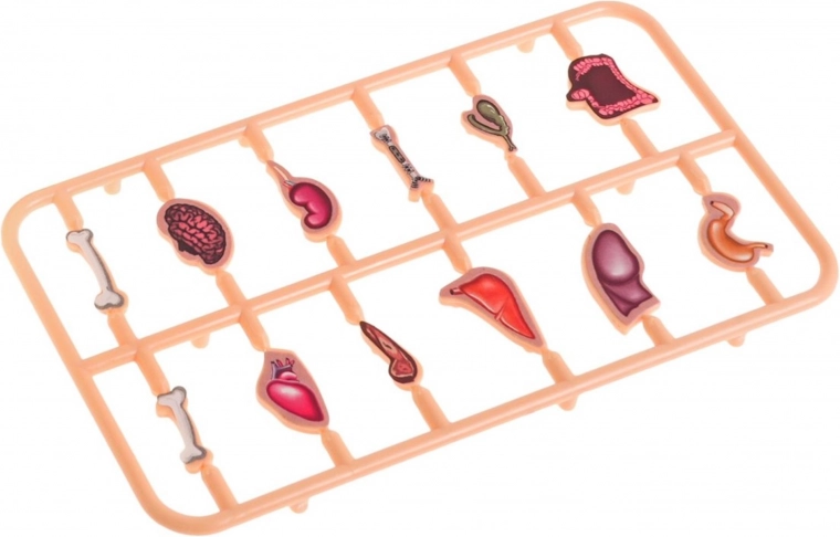 Kompletan set s 12 organa i spremištem