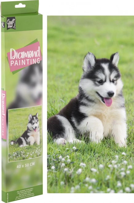 GRAFIX Dijamantno slikanje Husky 40x50cm