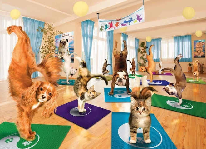Puzzle EUROGRAPHICS Yoga studio XL 300 dijelova