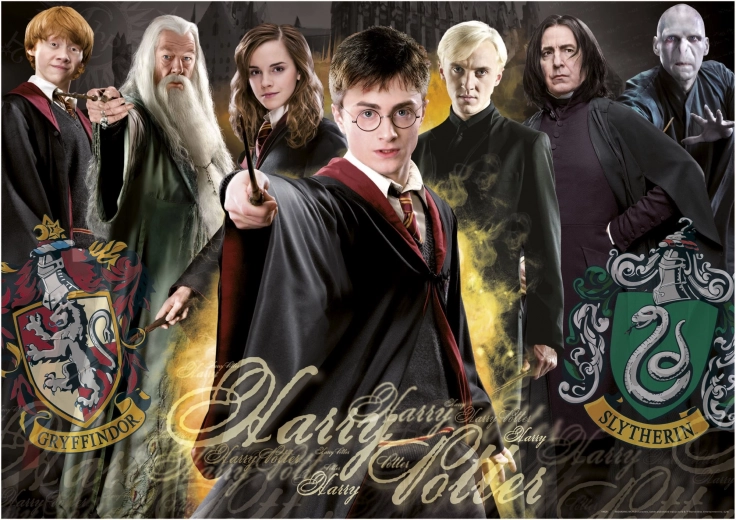 Puzzle Harry Potter 1000 dijelova s ljepilom EDUCA