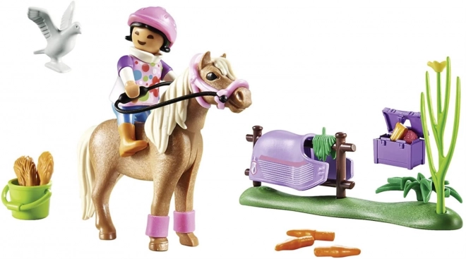 PLAYMOBIL® Country 70514 Kolekcionarski islandski poni