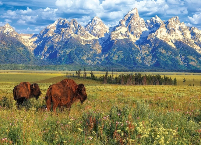 Puzzle prekrasni Nacionalni park Grand Teton 1000 komada