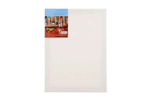 Slikarsko platno 30x40cm u foliji