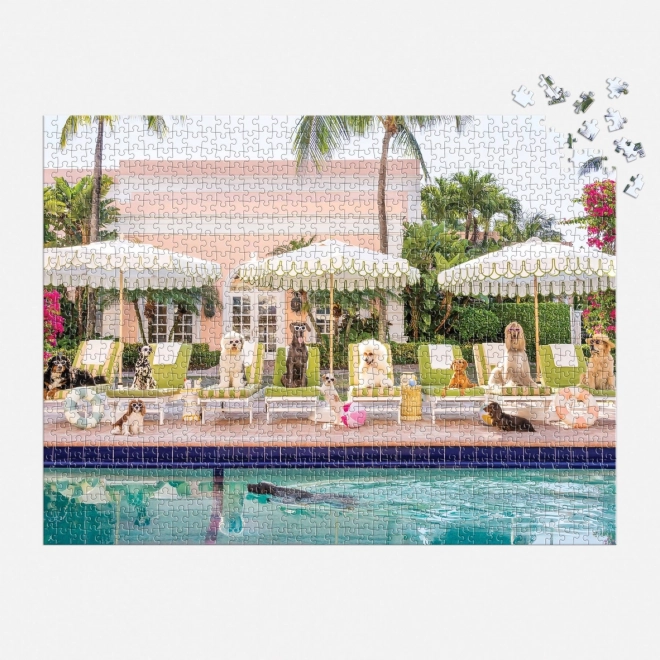 Puzzle Kraj bazena u Palm Beacha 1000 dijelova