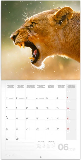 Bilješke Kalendar Divlje Životinje 2026