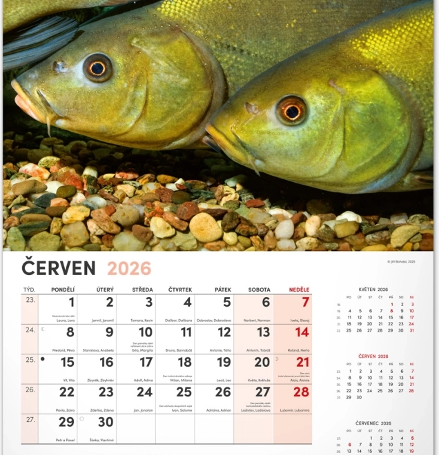 Zidni kalendar Ribički 2026