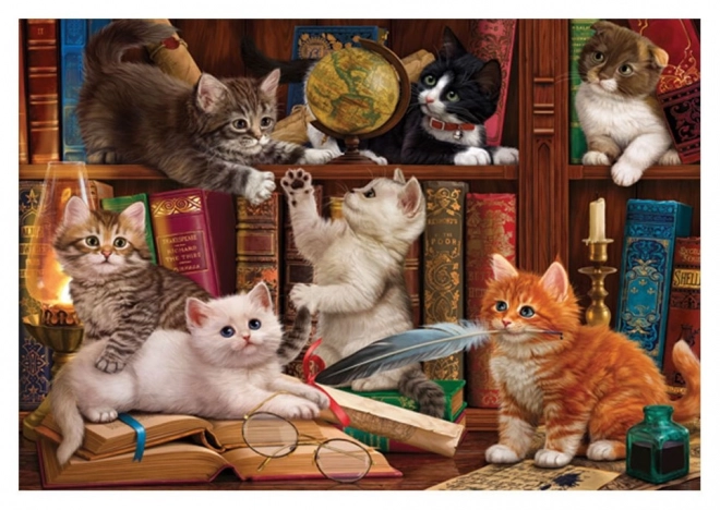 Puzzle Mačkice u knjižnici 500 komada
