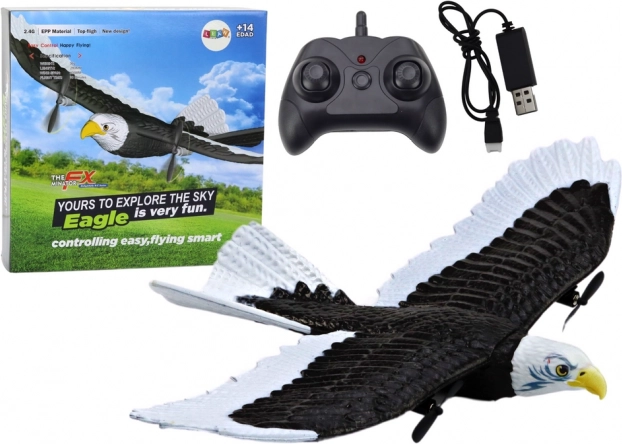 RC avion Eagle Bird daljinsko upravljanje 2.4G 41 cm x 28 cm x 5 cm
