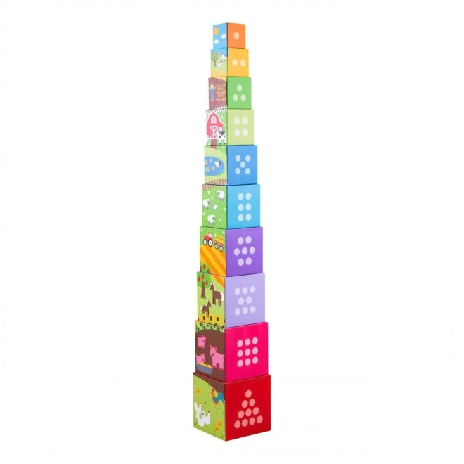 Bigjigs Toys Didaktičke kocke farma