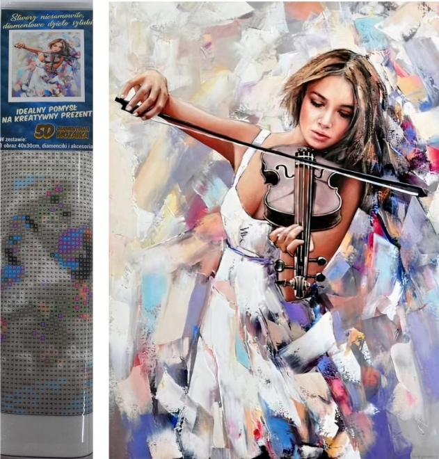 Norimpex dijamantno slikanje violinistkinja 30x40 cm